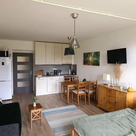 Apartment Lesni