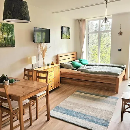 Apartment Lesni Hamry (Pilsen)